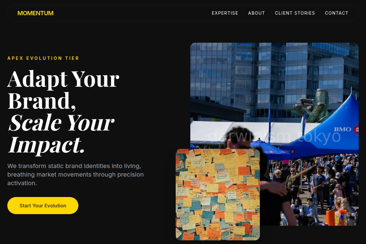 Momentum Brand Activation