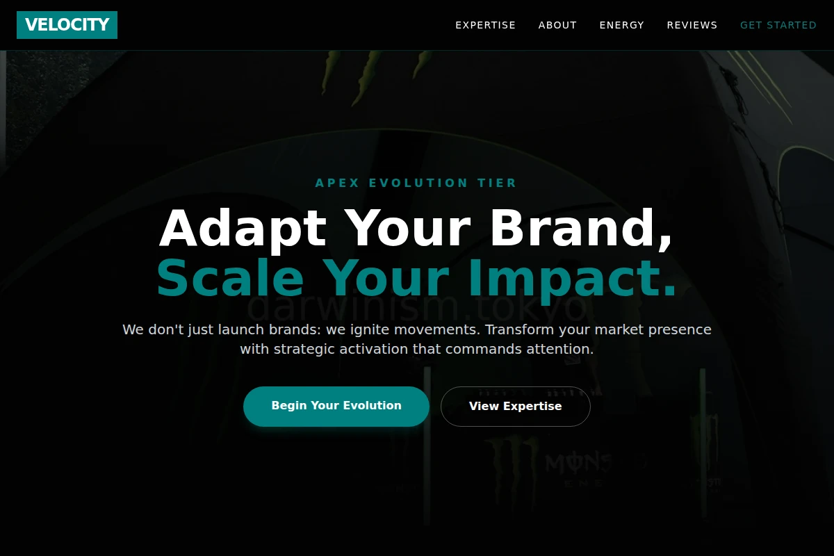 Velocity Brand Activation