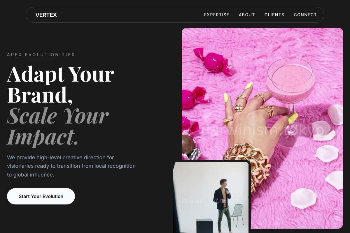 Vertex Creative Direction