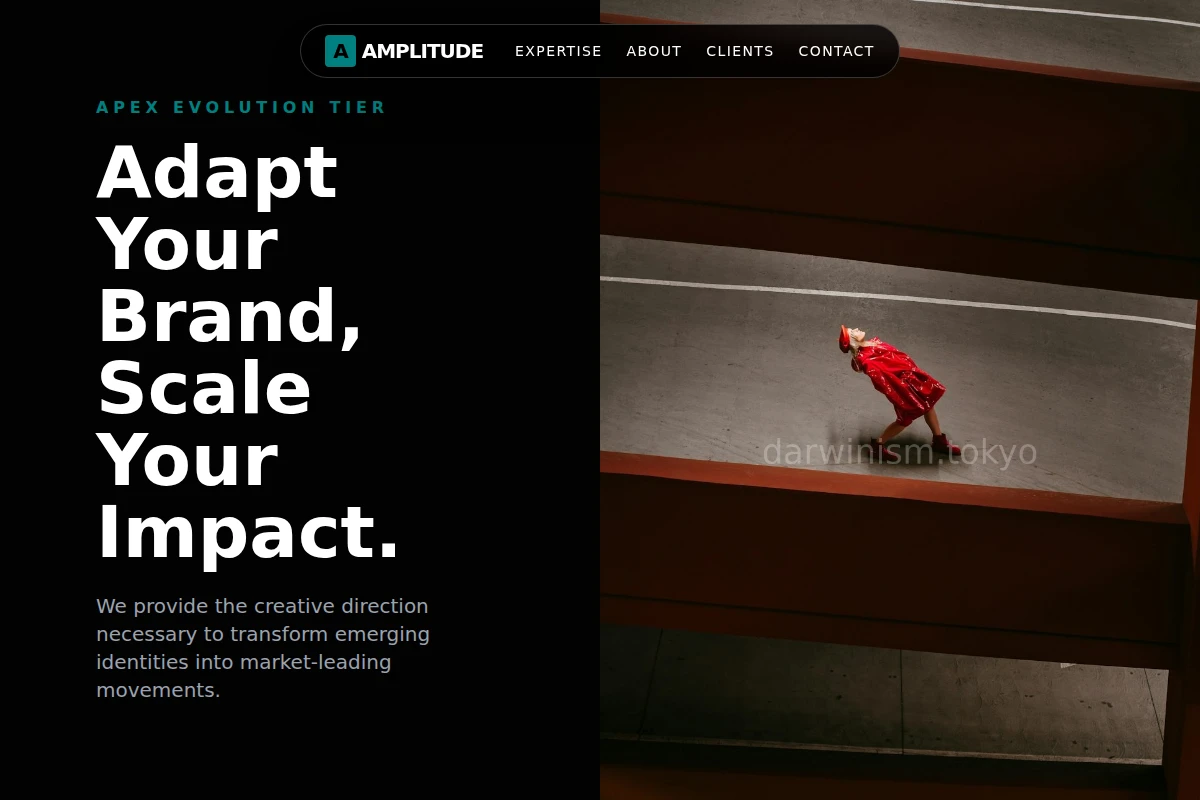 Amplitude Creative Direction