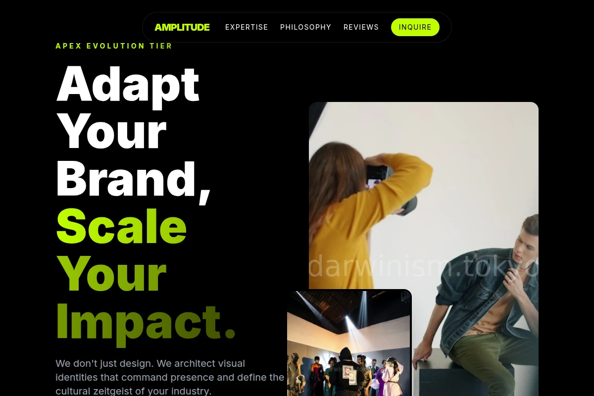 Amplitude Creative Direction