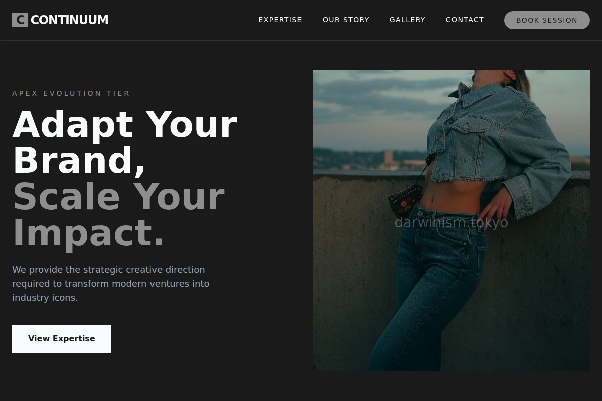 Continuum Creative Direction