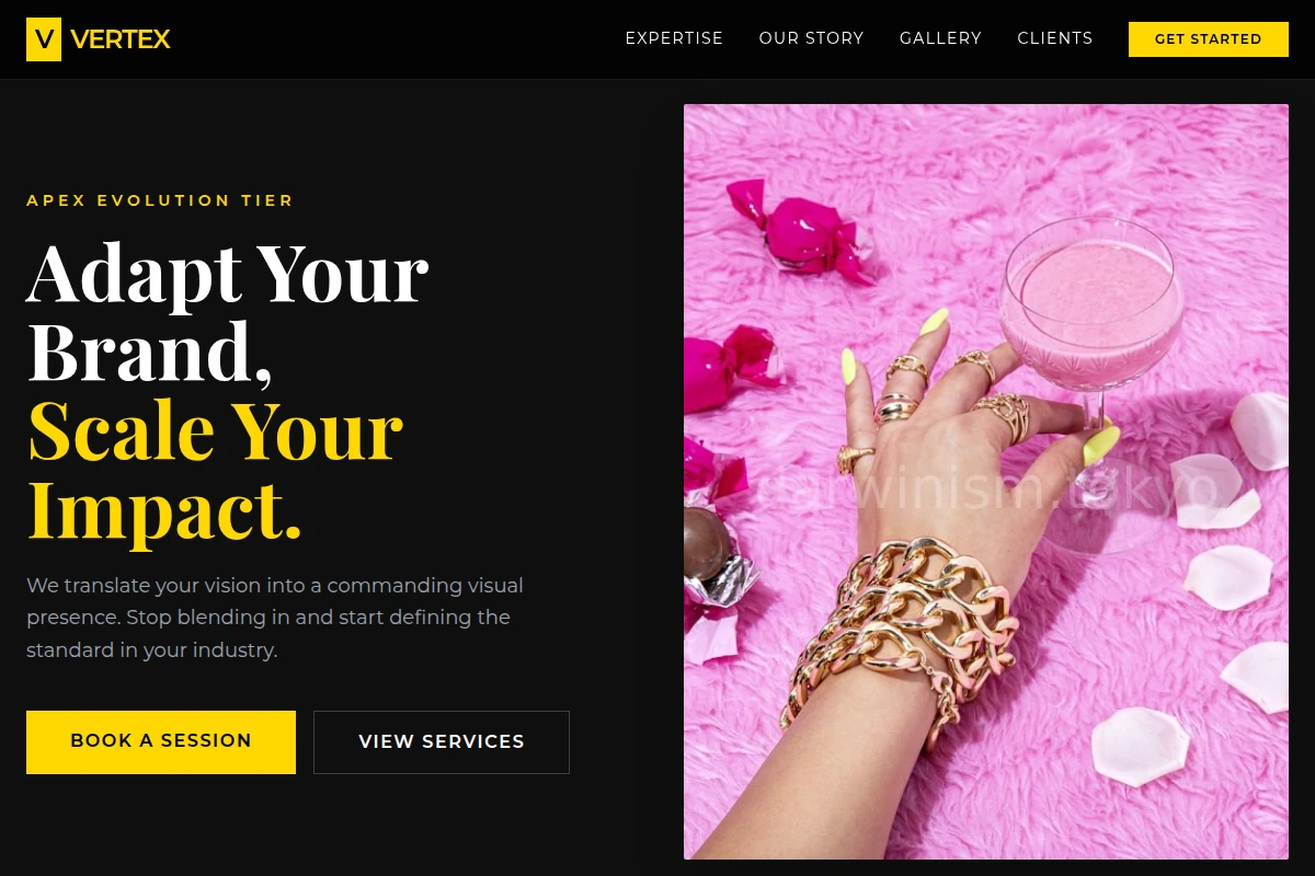 Vertex Creative Direction