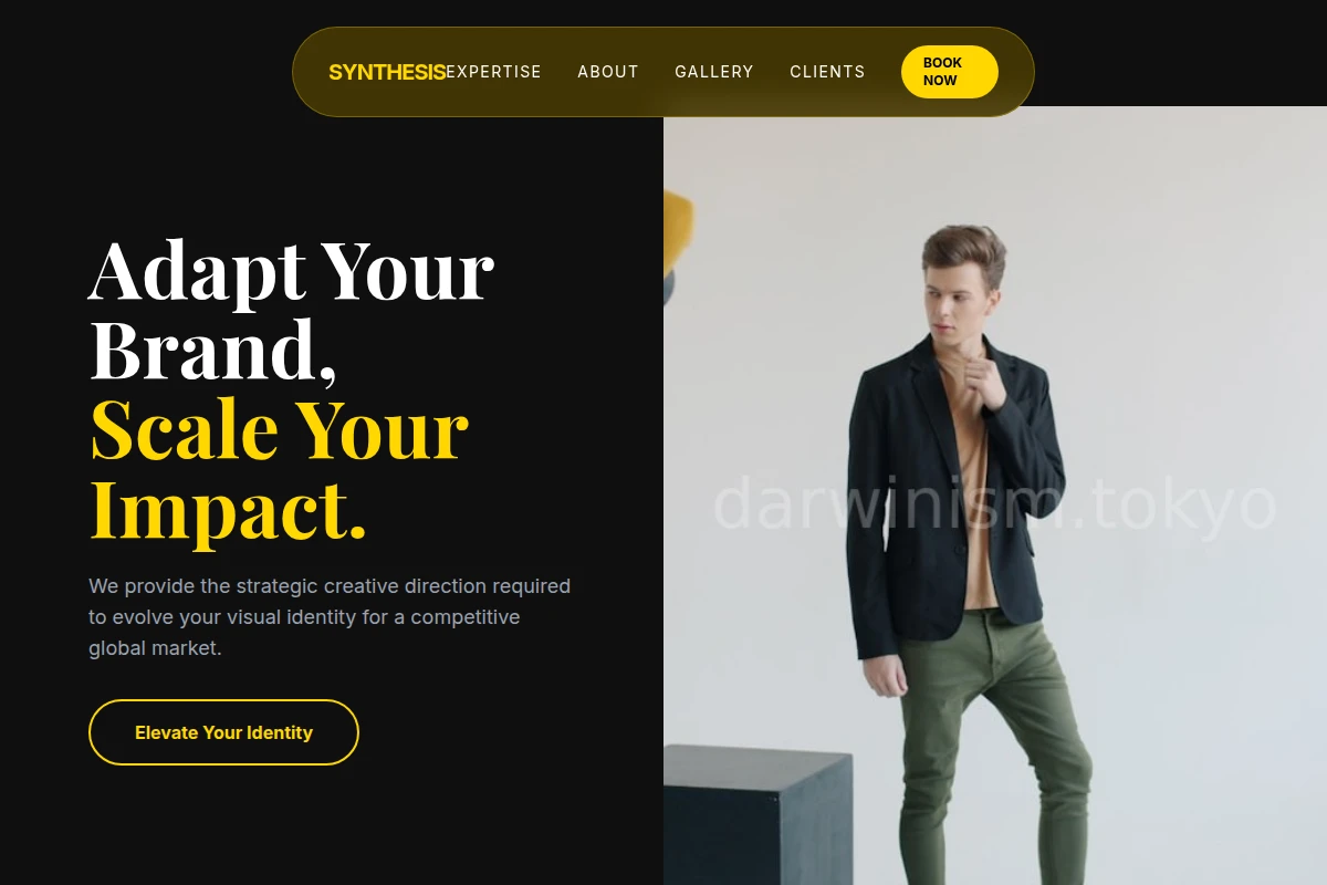 Synthesis Creative Direction