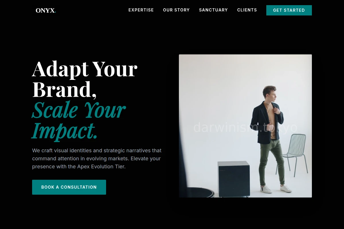 Onyx Creative Direction